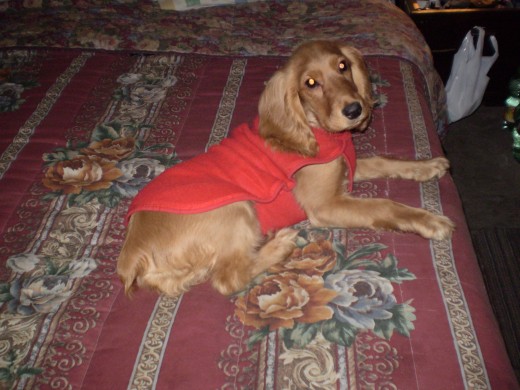 asi voy creciendo y cada dia mas linda.